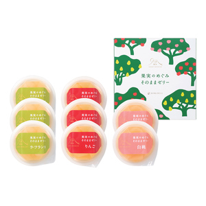 日本の極み 果実のめぐみそのままゼリー 8個入
