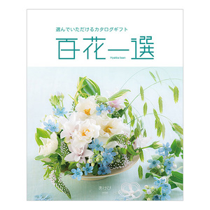 カタログギフト 百花一選 あけび