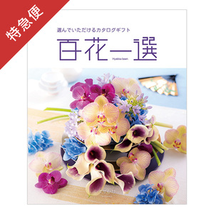 【特急便】カタログギフト 百花一選 すずかけ