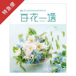 【特急便】カタログギフト 百花一選 あけび