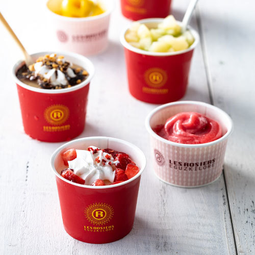 銀座京橋 レ ロジェ エギュスキロール 銀座アイスアソート