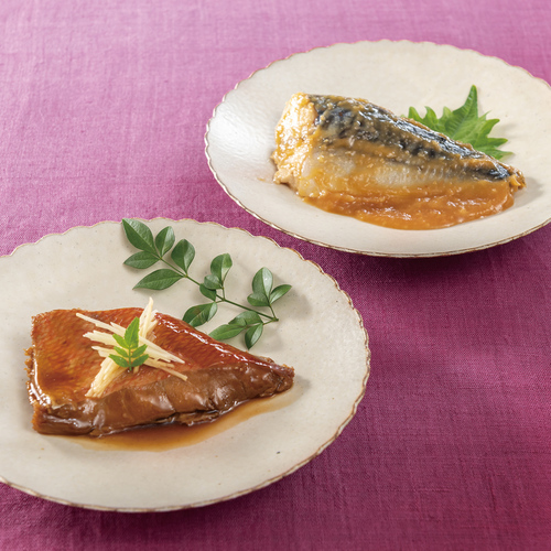 山陰大松 氷温熟成 煮魚・焼魚ギフト10切