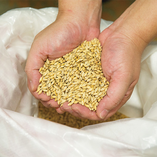 山形の極み 月山クラフトビール 2種7本