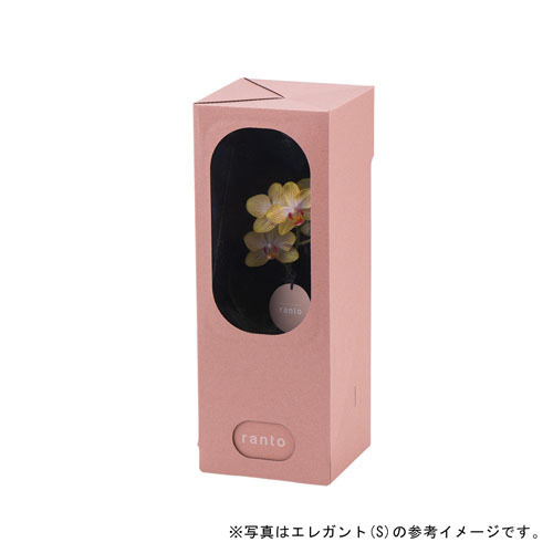 ラント キュート(S)