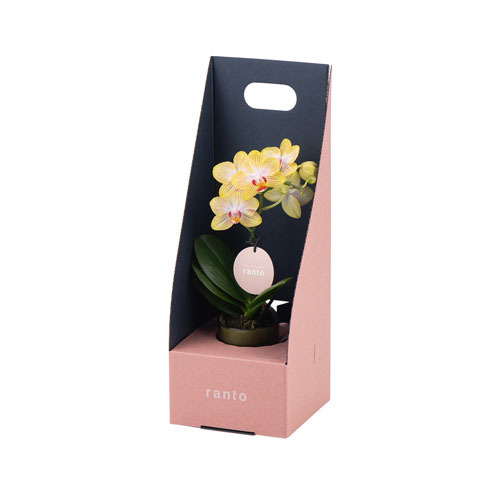 ラント エレガント(S)