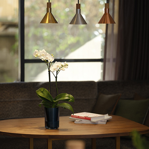 ラント エレガント(M)