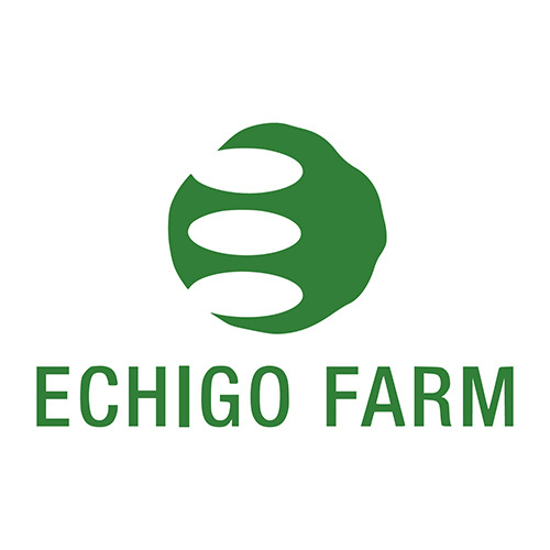 越後ファーム 無洗米4種食べくらべ